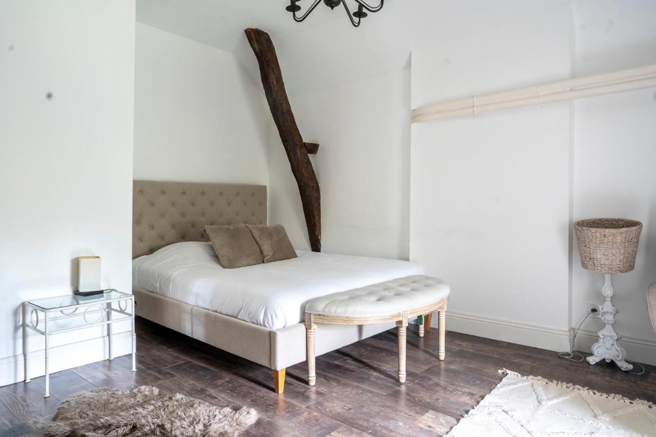 Chateau Des Ayes - Chambres & Suites Saint-Etienne-de-Saint-Geoirs Bagian luar foto