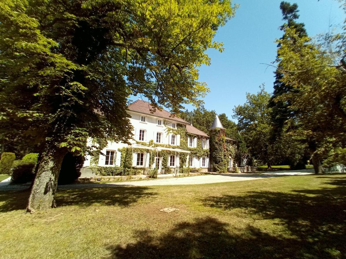 Chateau Des Ayes - Chambres & Suites Saint-Etienne-de-Saint-Geoirs Bagian luar foto